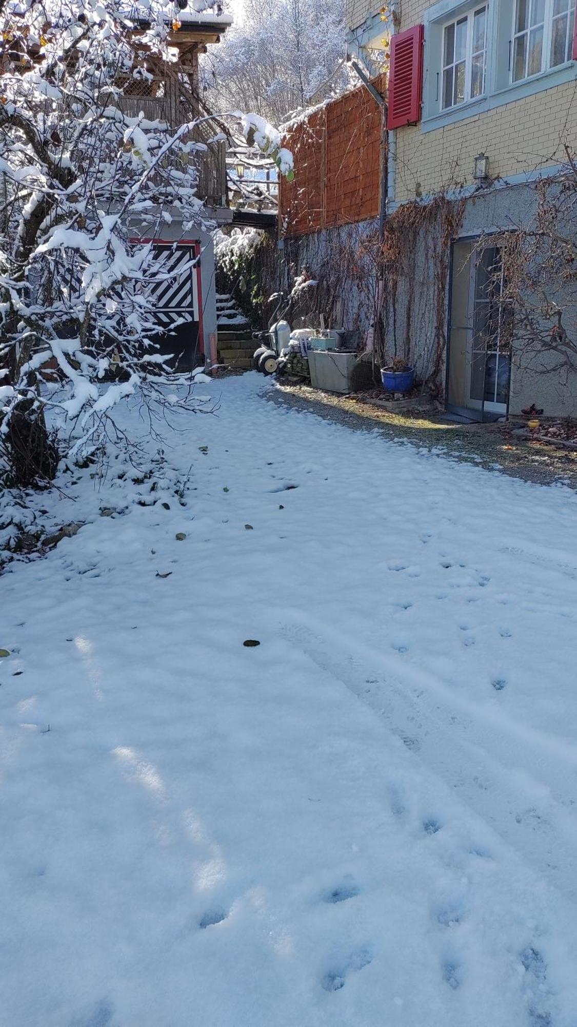 Casa Nemea Διαμέρισμα Neuenegg Εξωτερικό φωτογραφία